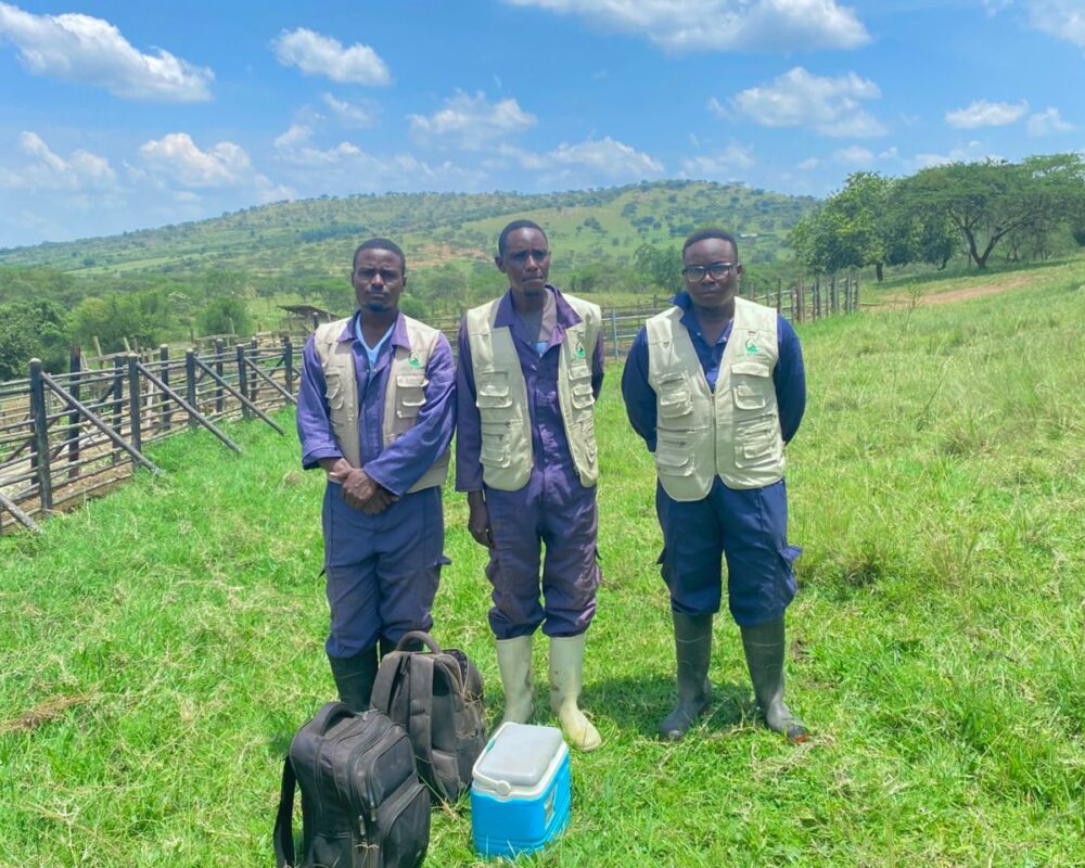 WhatsApp Image 2026-03-21 at 15.08.42